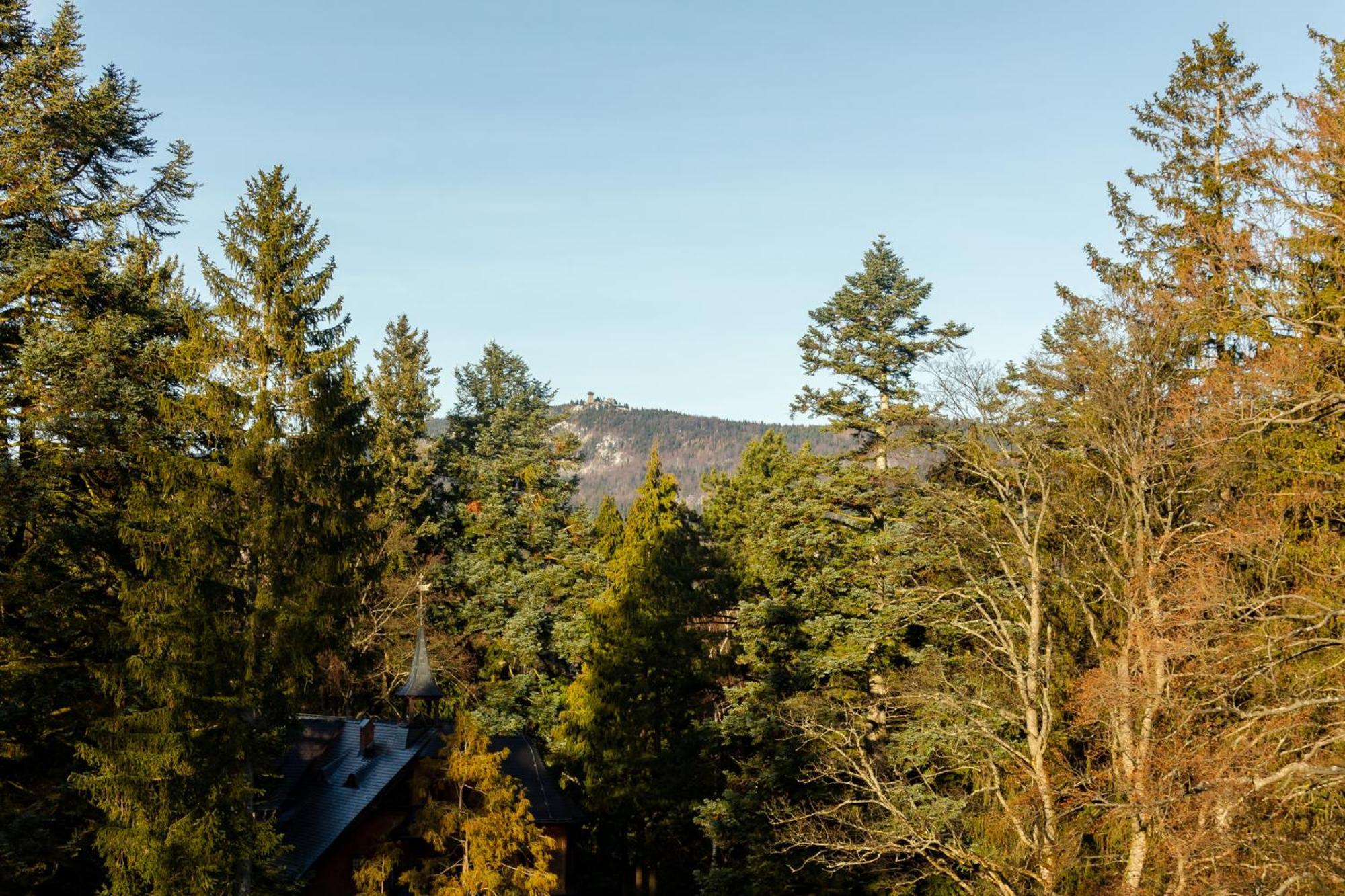 Apartment Rentplanet - Kilinskiego *